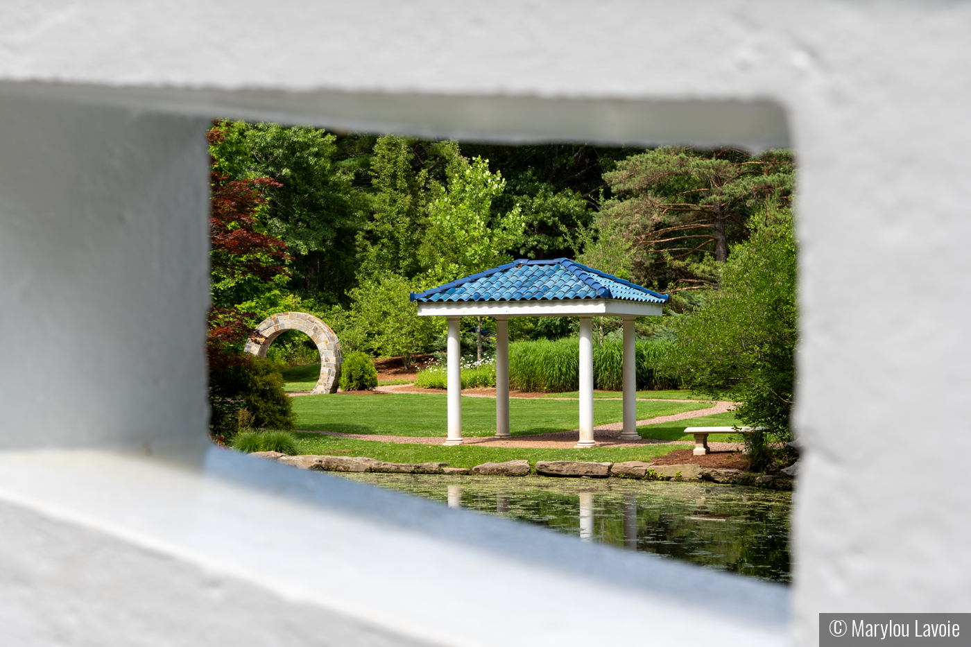 Looking Through by Marylou Lavoie