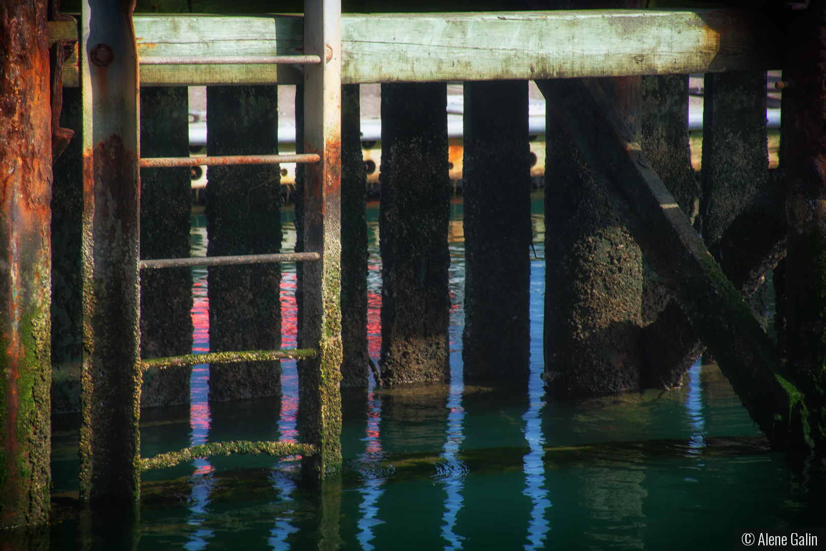 Looking Under the Pier by Alene Galin