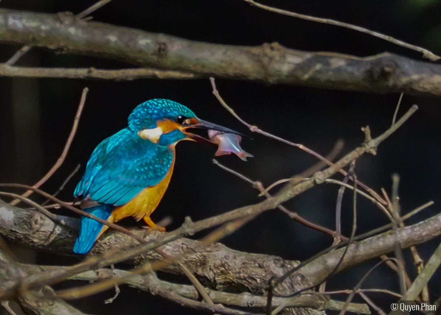 Meal Time by Quyen Phan