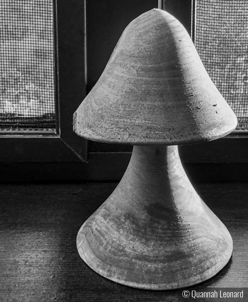 Memory of Zen by Quannah Leonard