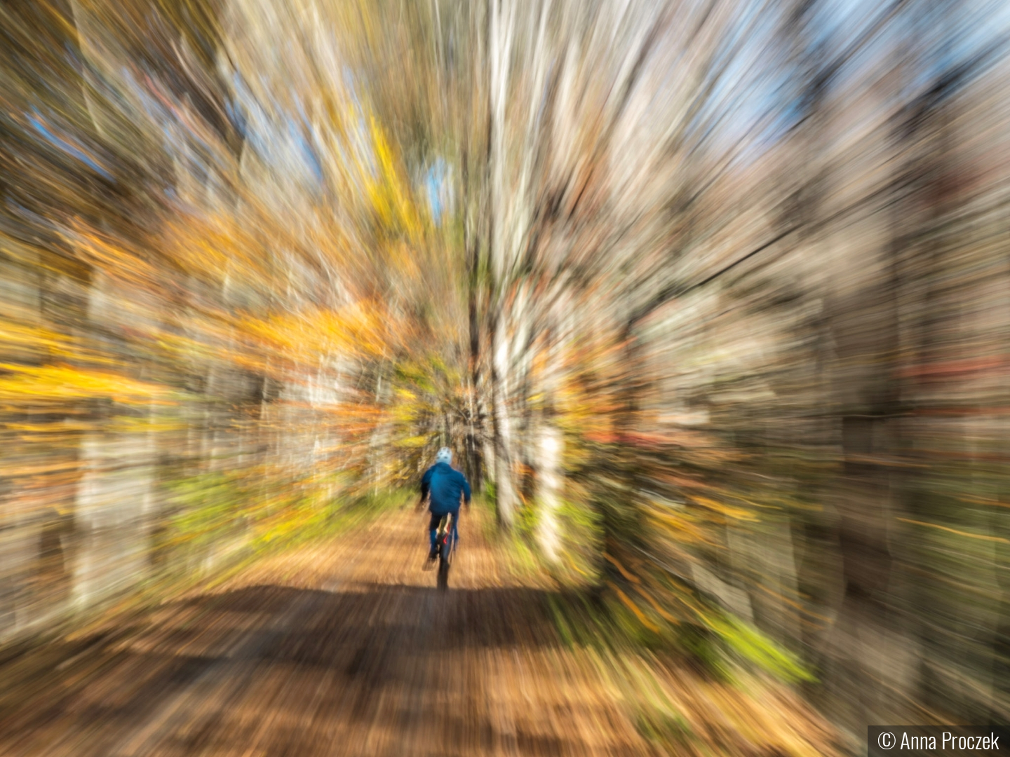 Momentum by Anna Proczek