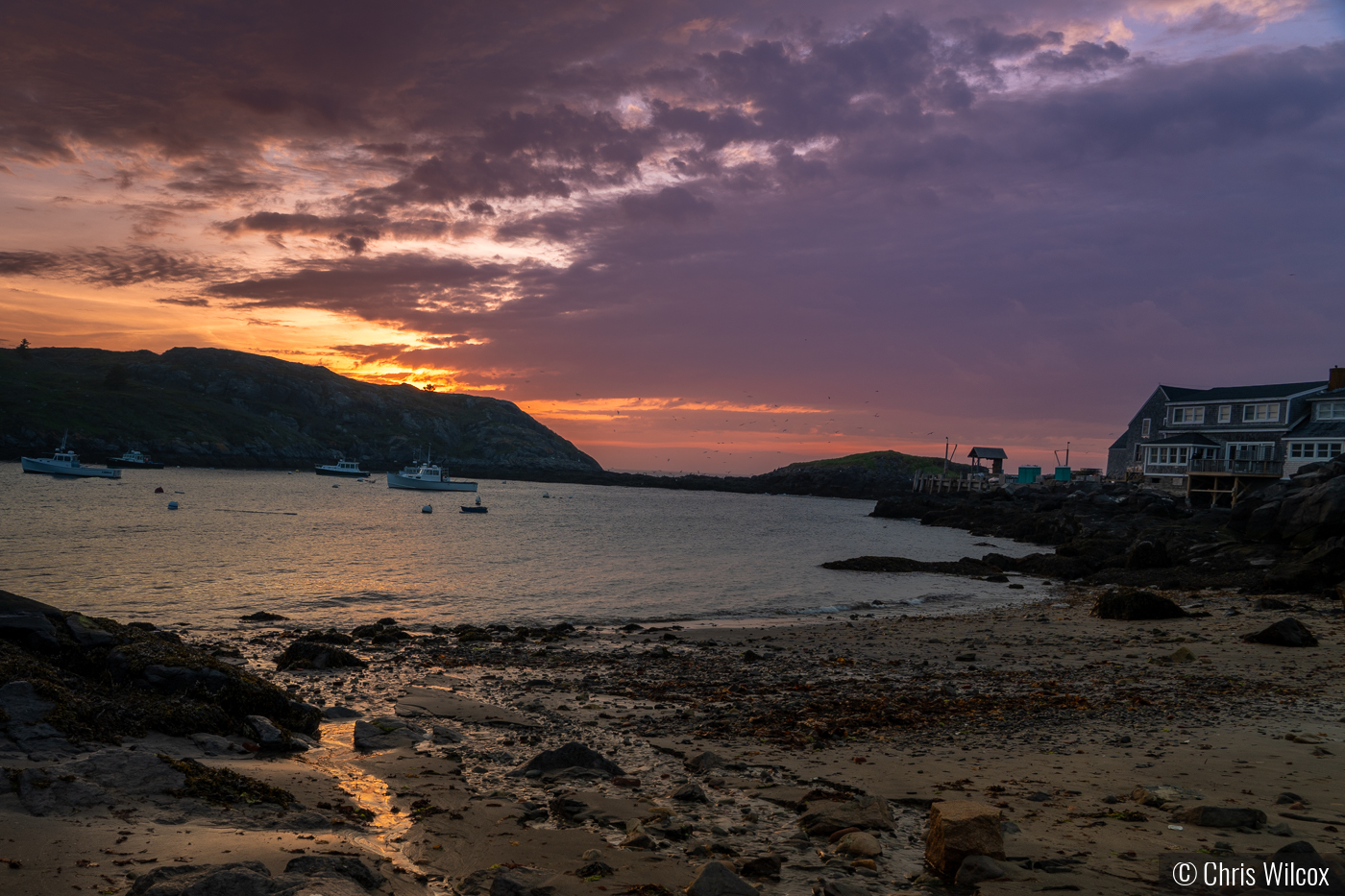 Monhegan Sunset by Chris Wilcox