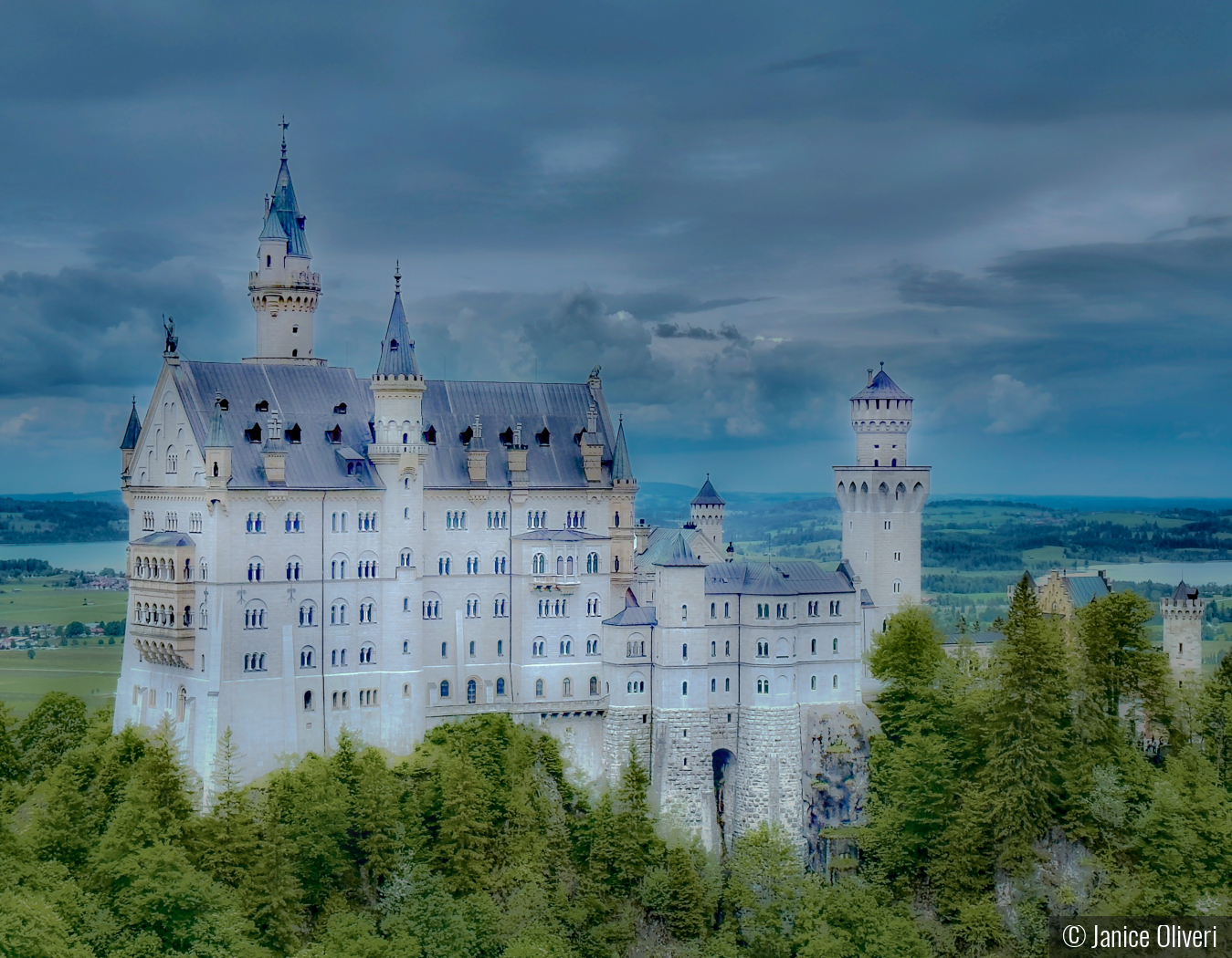 Neuschwanstein Castle by Janice Oliveri