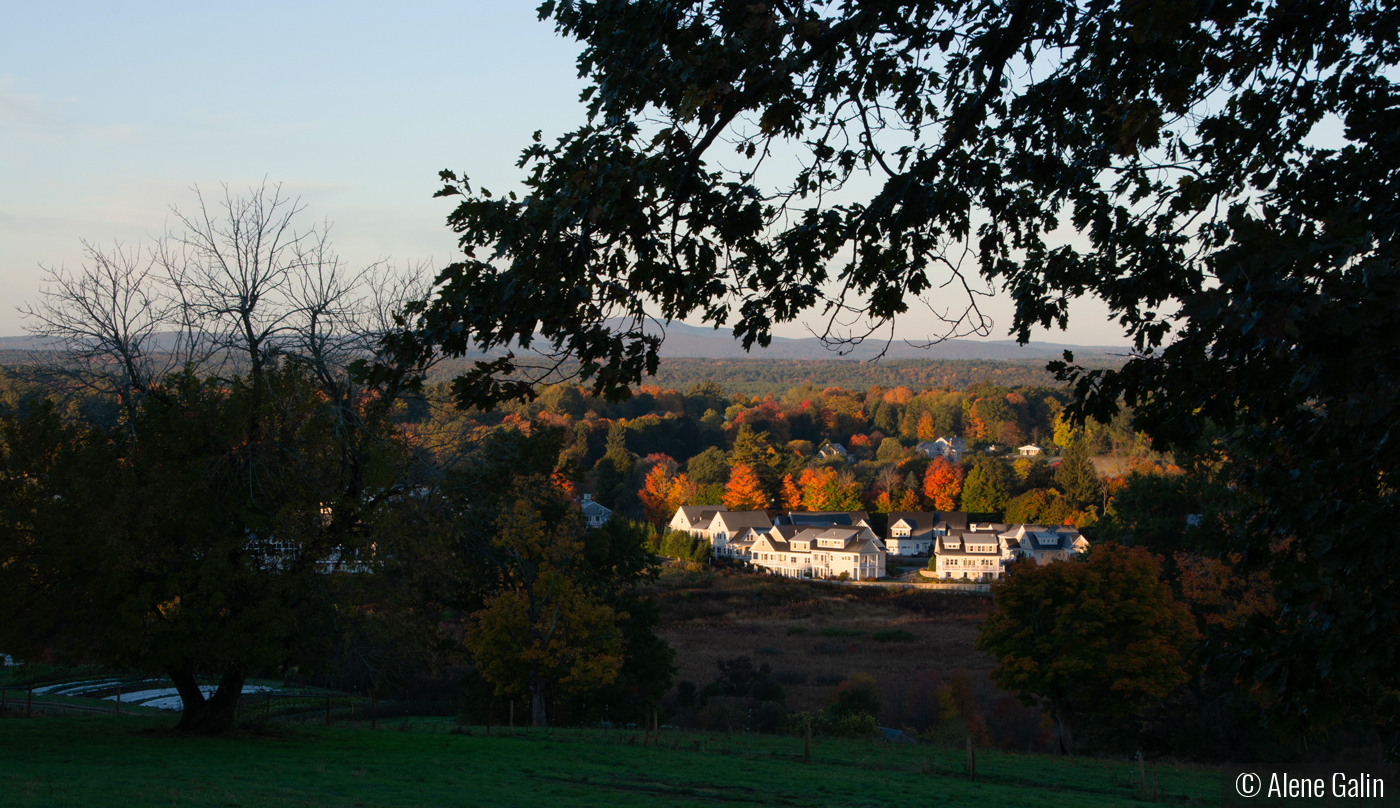 New England Sunrise by Alene Galin