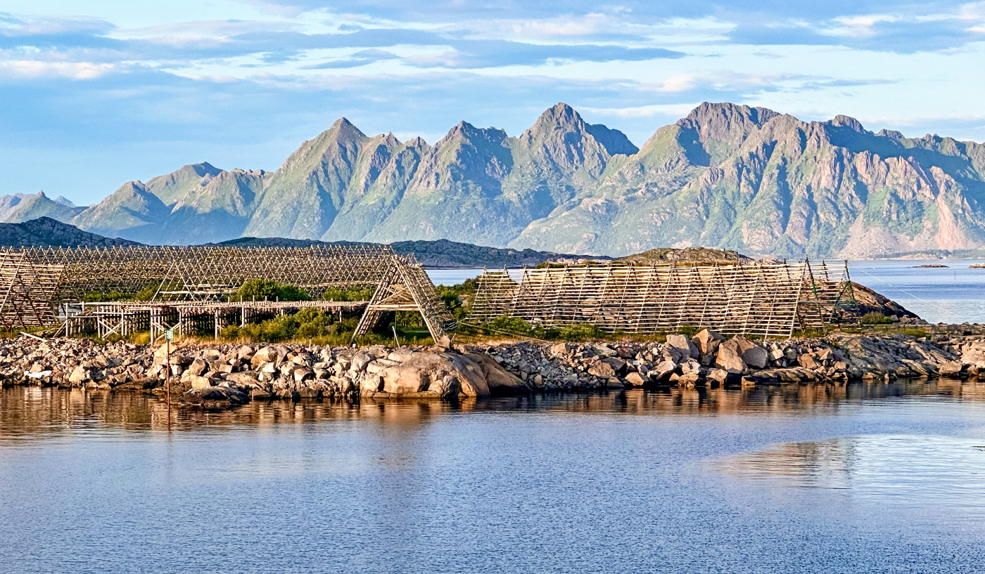 Norwegian Codfish Drying Stages by Louis Arthur Norton