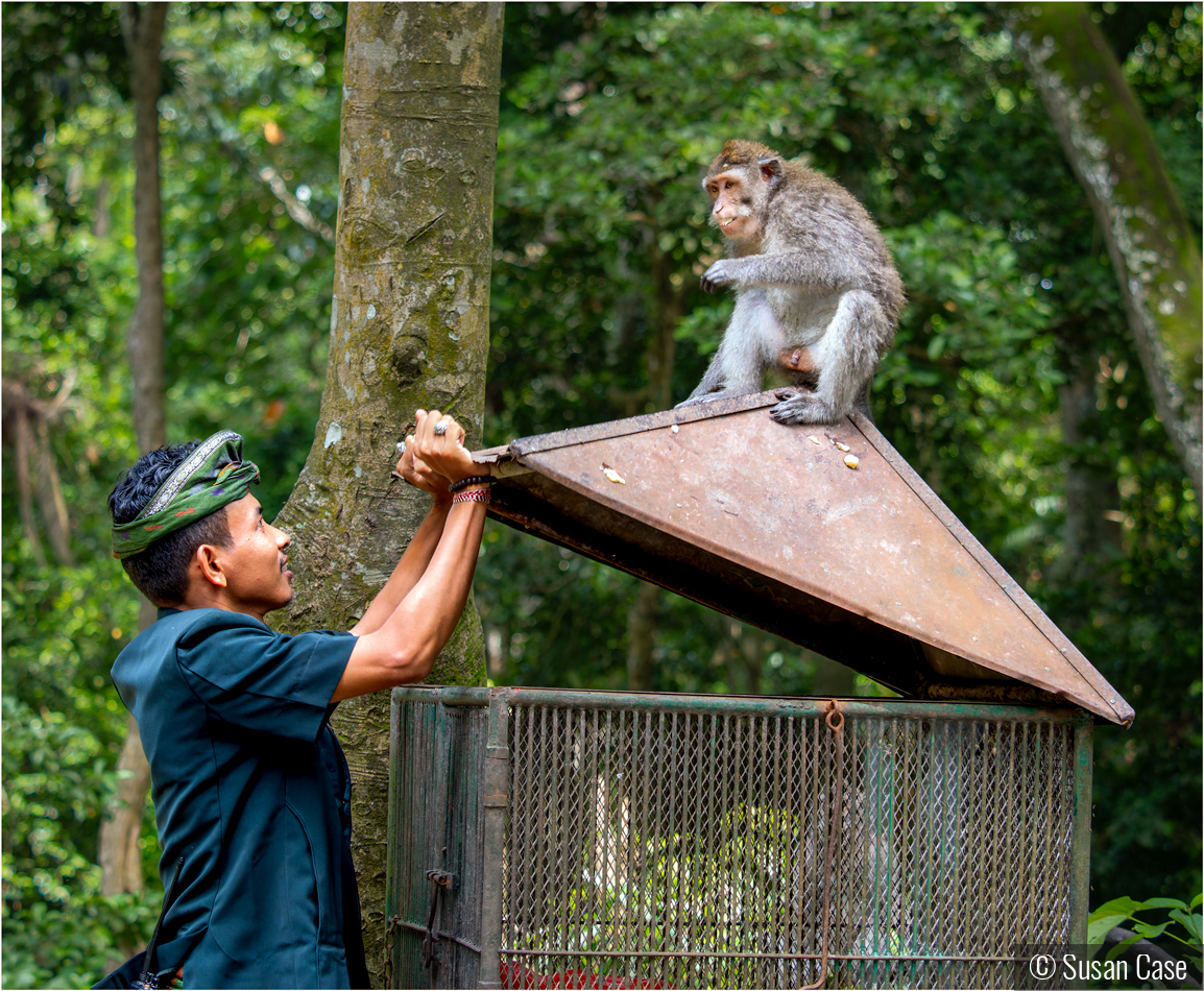 Not Really Helping by Susan Case