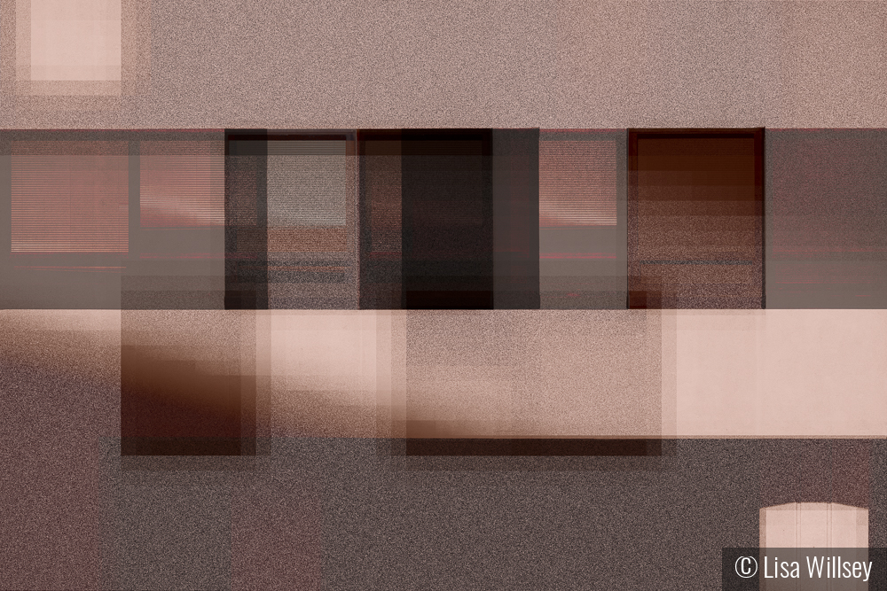 Obscured View by Lisa Willsey