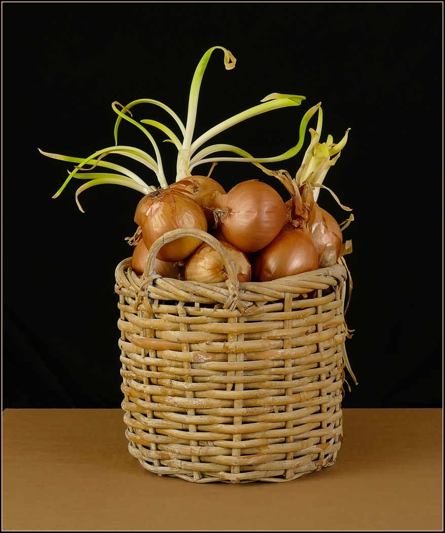 Onion Basket by Bruce Metzger