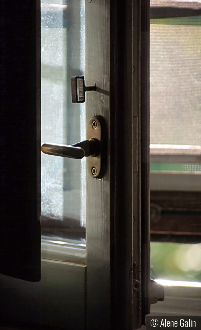 Open Window by Alene Galin