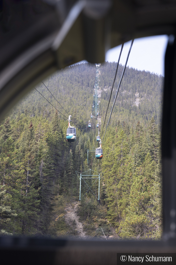 Out the Banff Gondola Window by Nancy Schumann