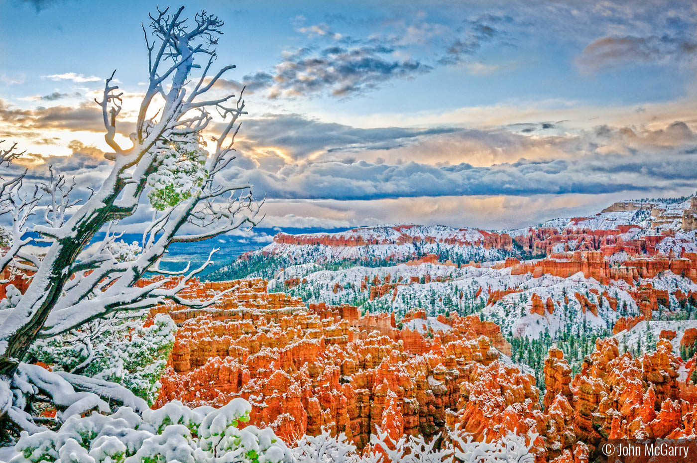 Overnight Snowfall by John McGarry