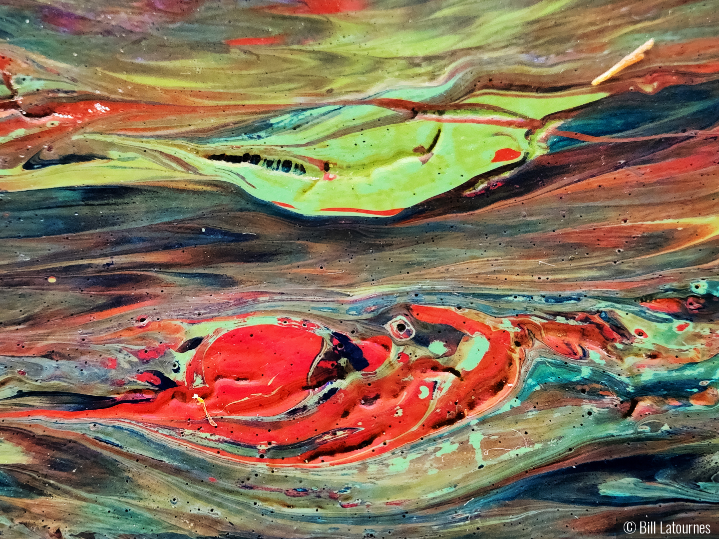 Paint Spots by Bill Latournes