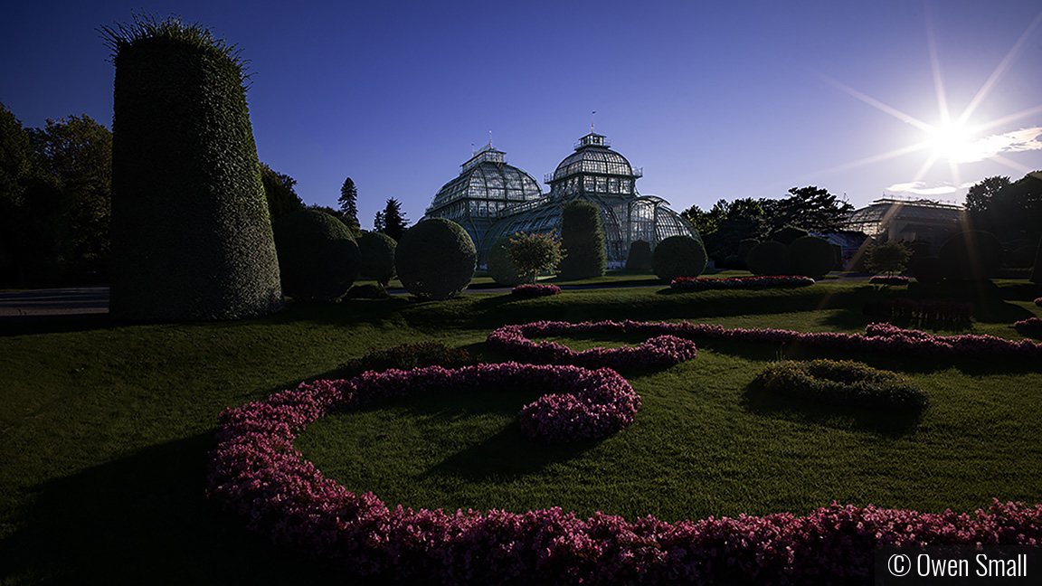 Palm House by Owen Small