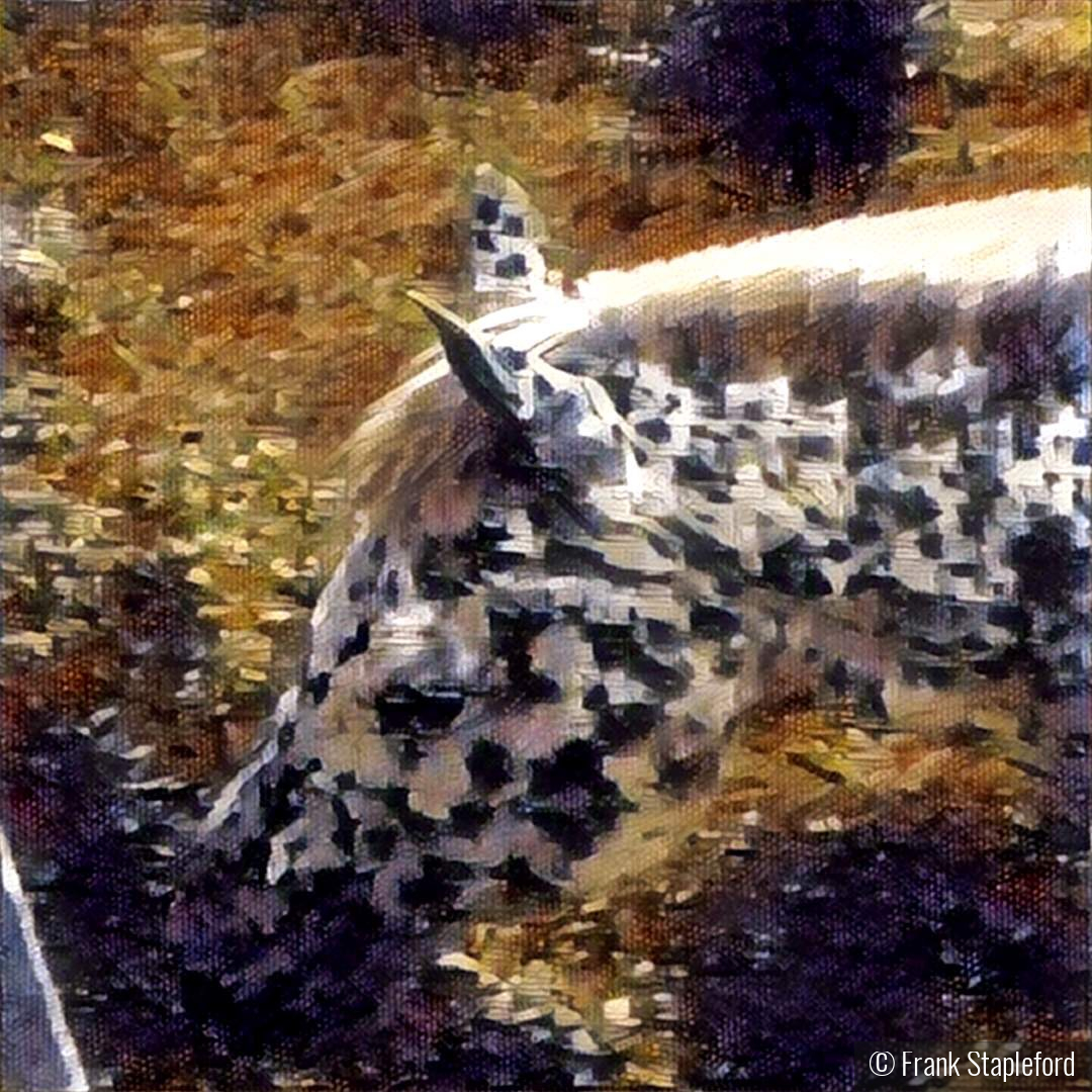 Palomino Made Mosaic by Frank Stapleford