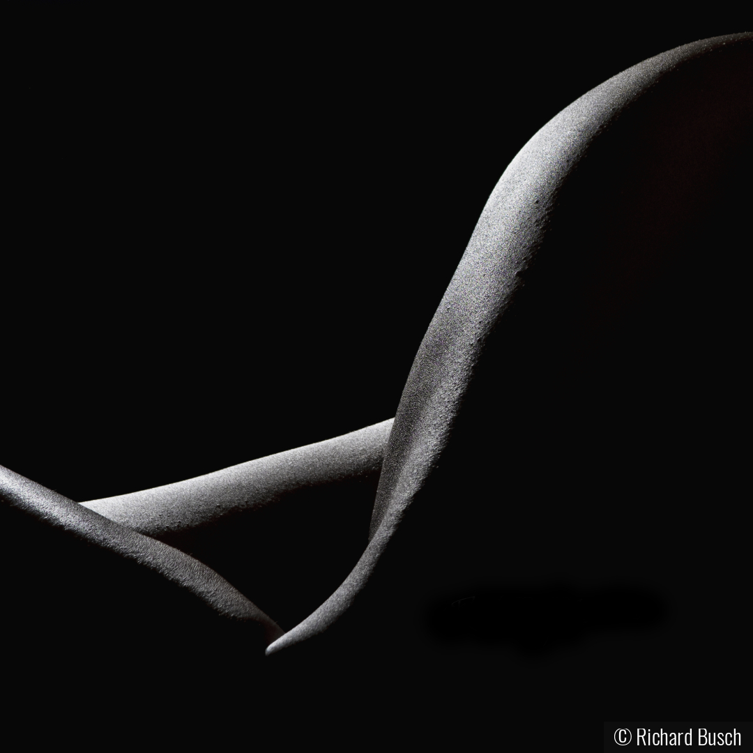 Peeks and Valleys by Richard Busch