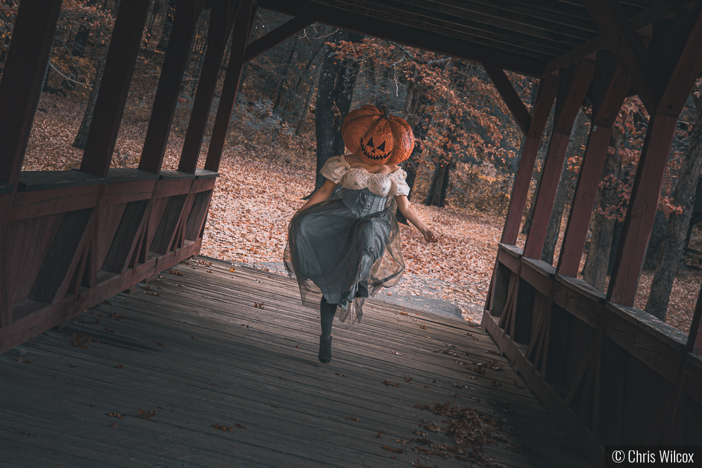 Pumpkin Queen by Chris Wilcox