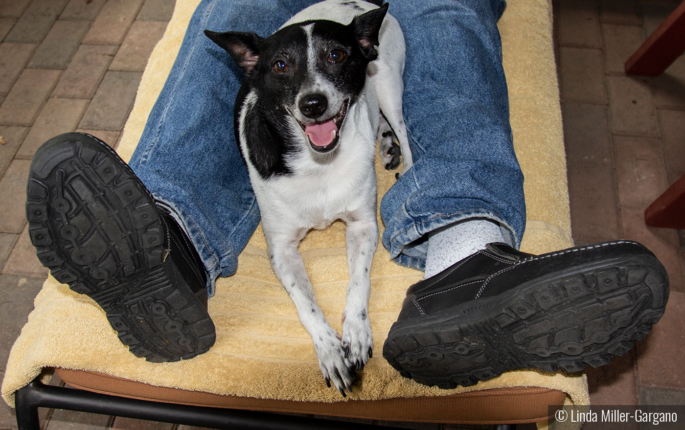 Relaxing with Daddy by Linda Miller-Gargano