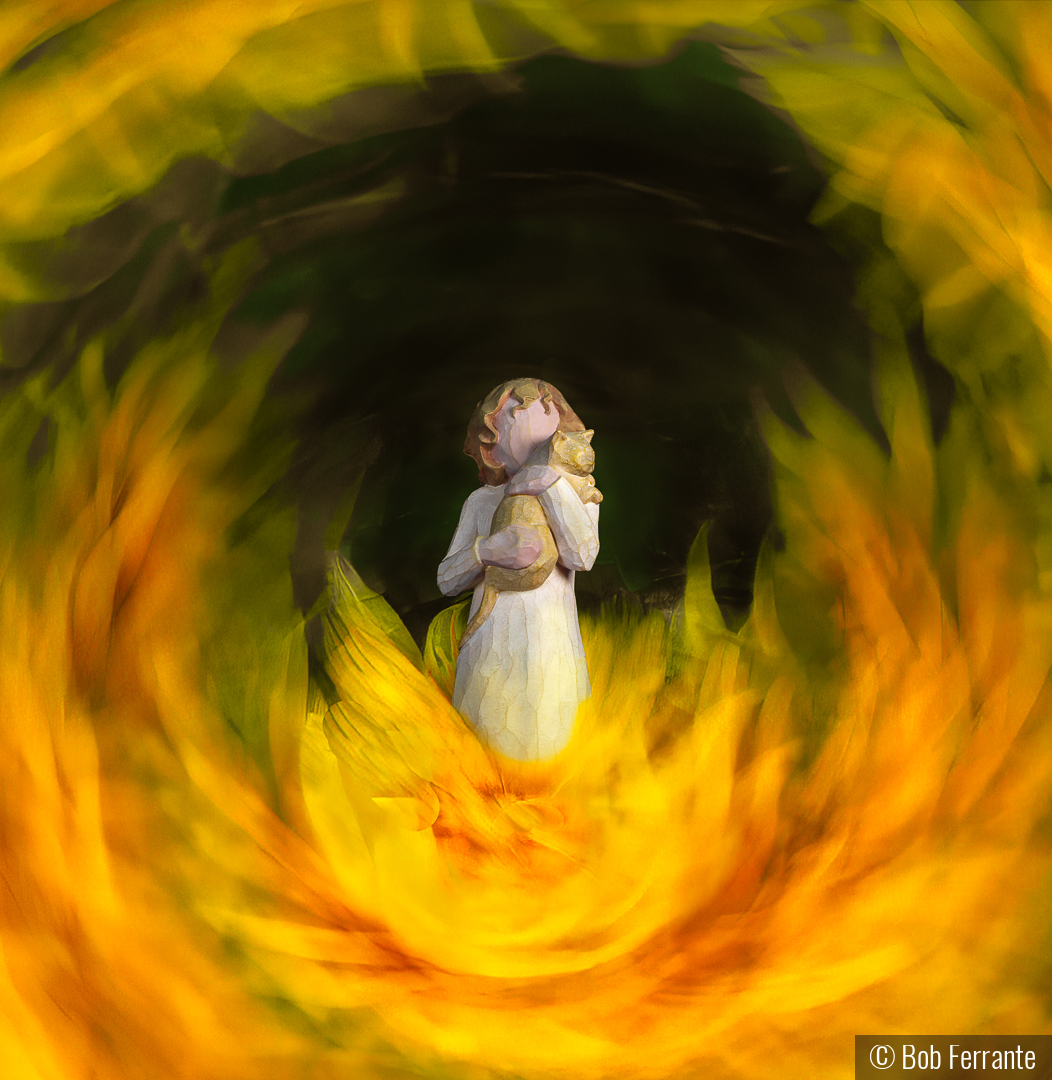 Rescue by Bob Ferrante