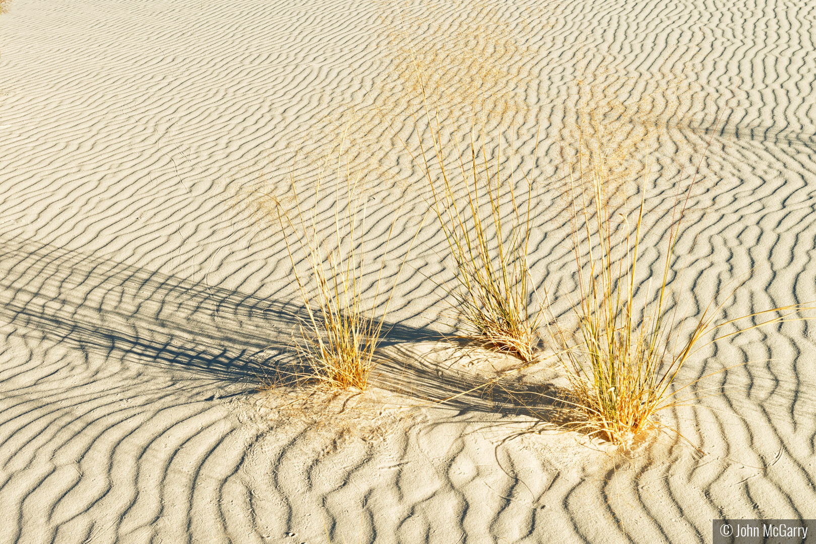 Sand and Grass Patterns by John McGarry