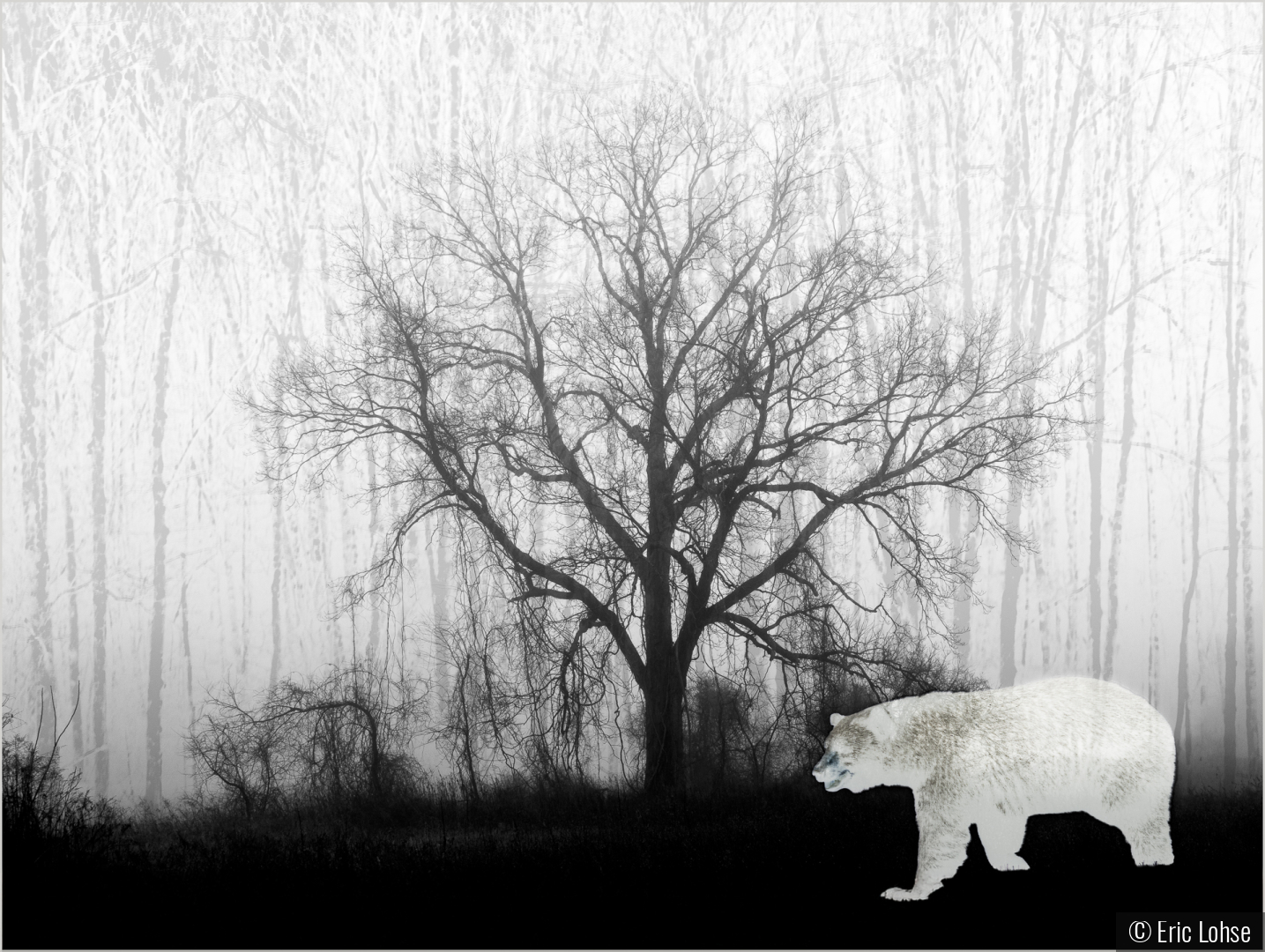 Spirits by Eric Lohse