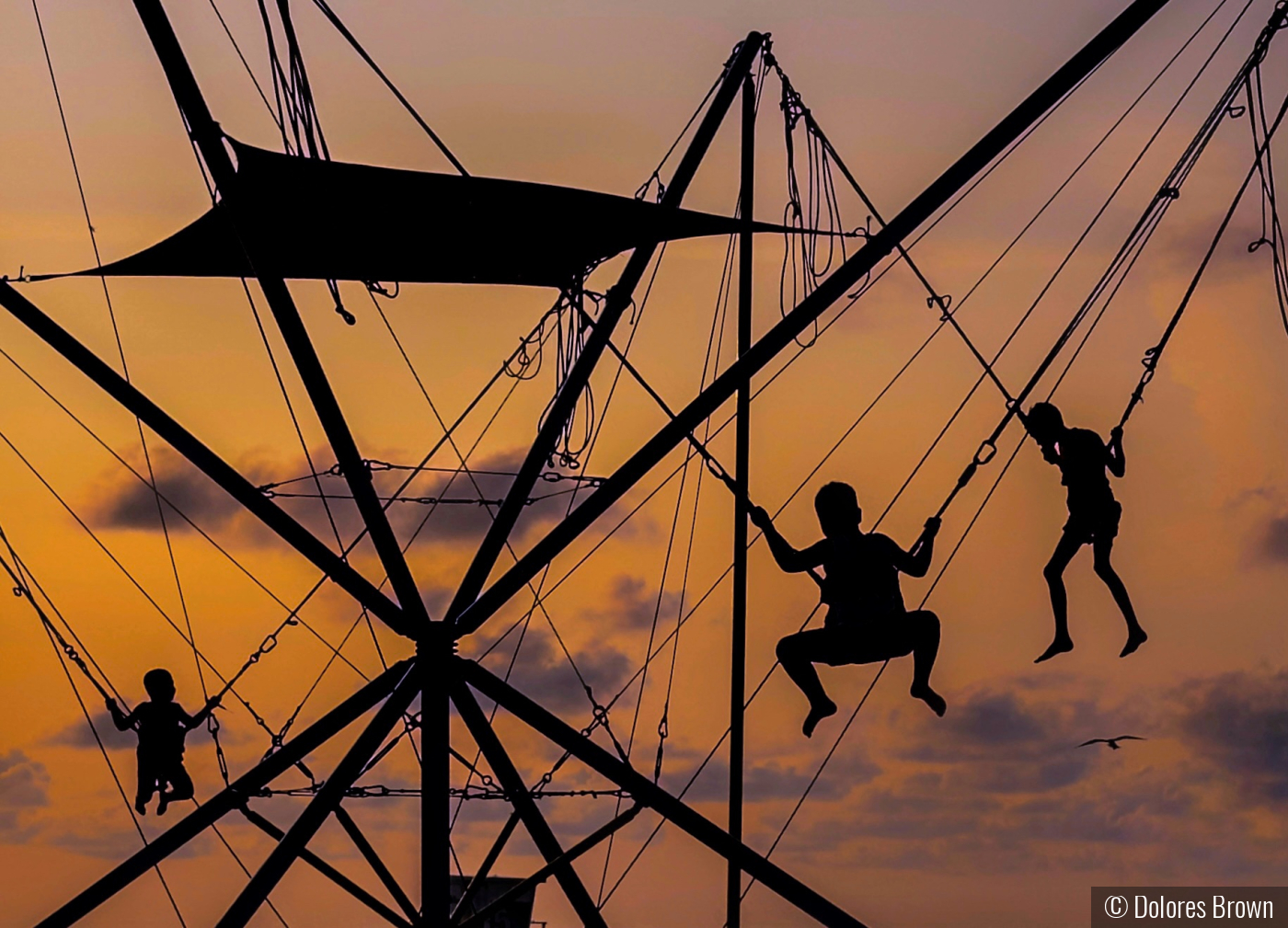 Sunset Fun by Dolores Brown