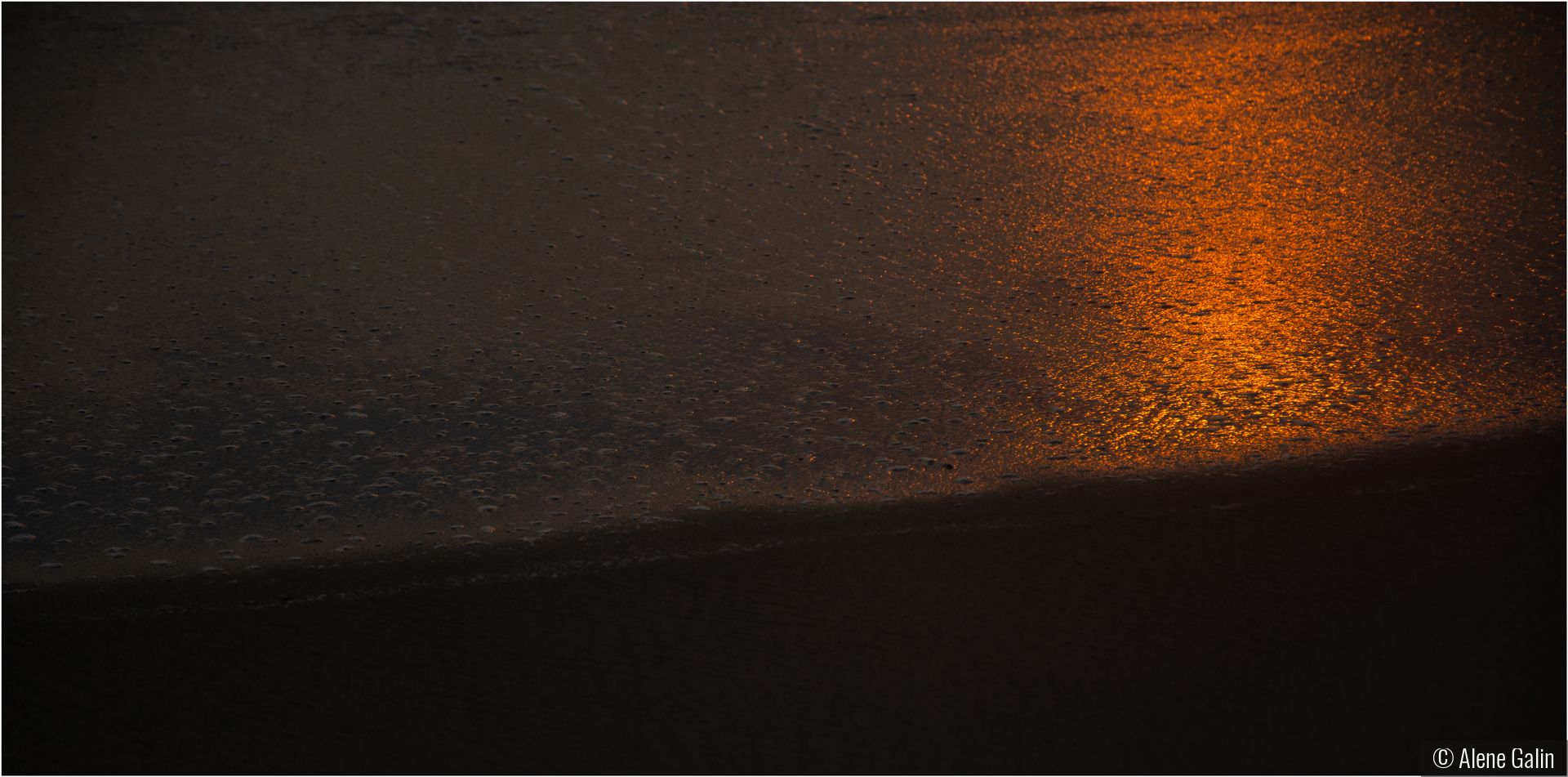 Sunset on the Shore by Alene Galin