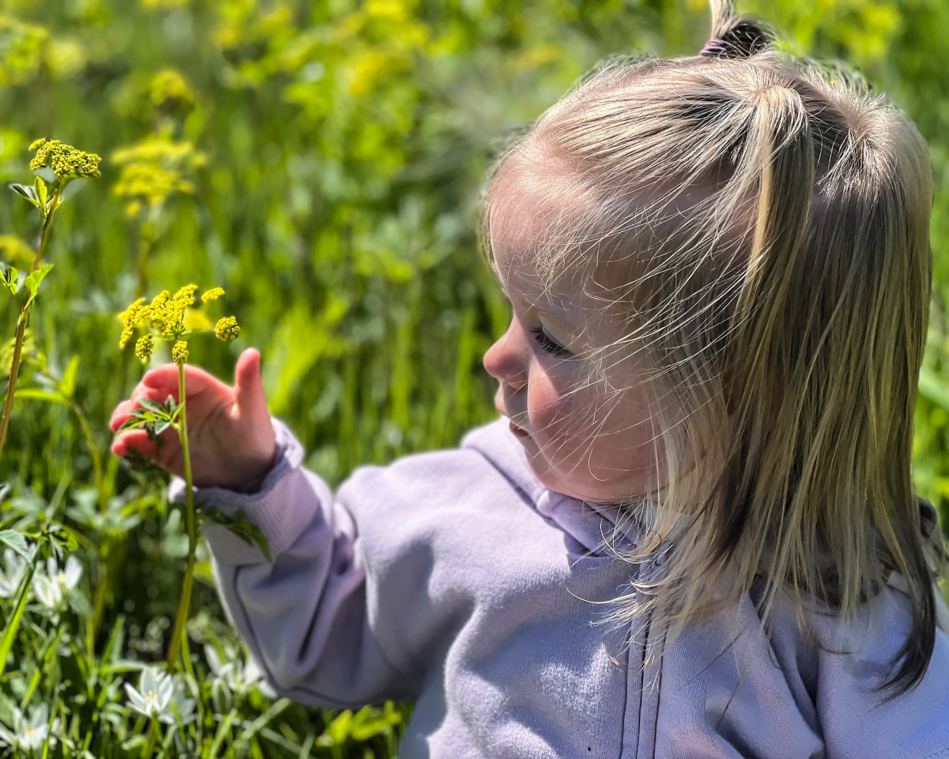 Tessa in the Field by Pamela Carter