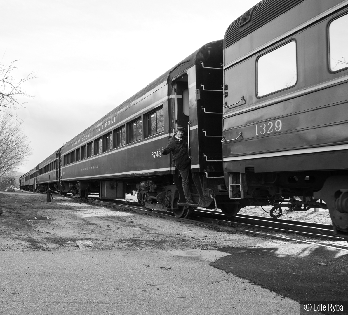 The Conductor by Edie Ryba