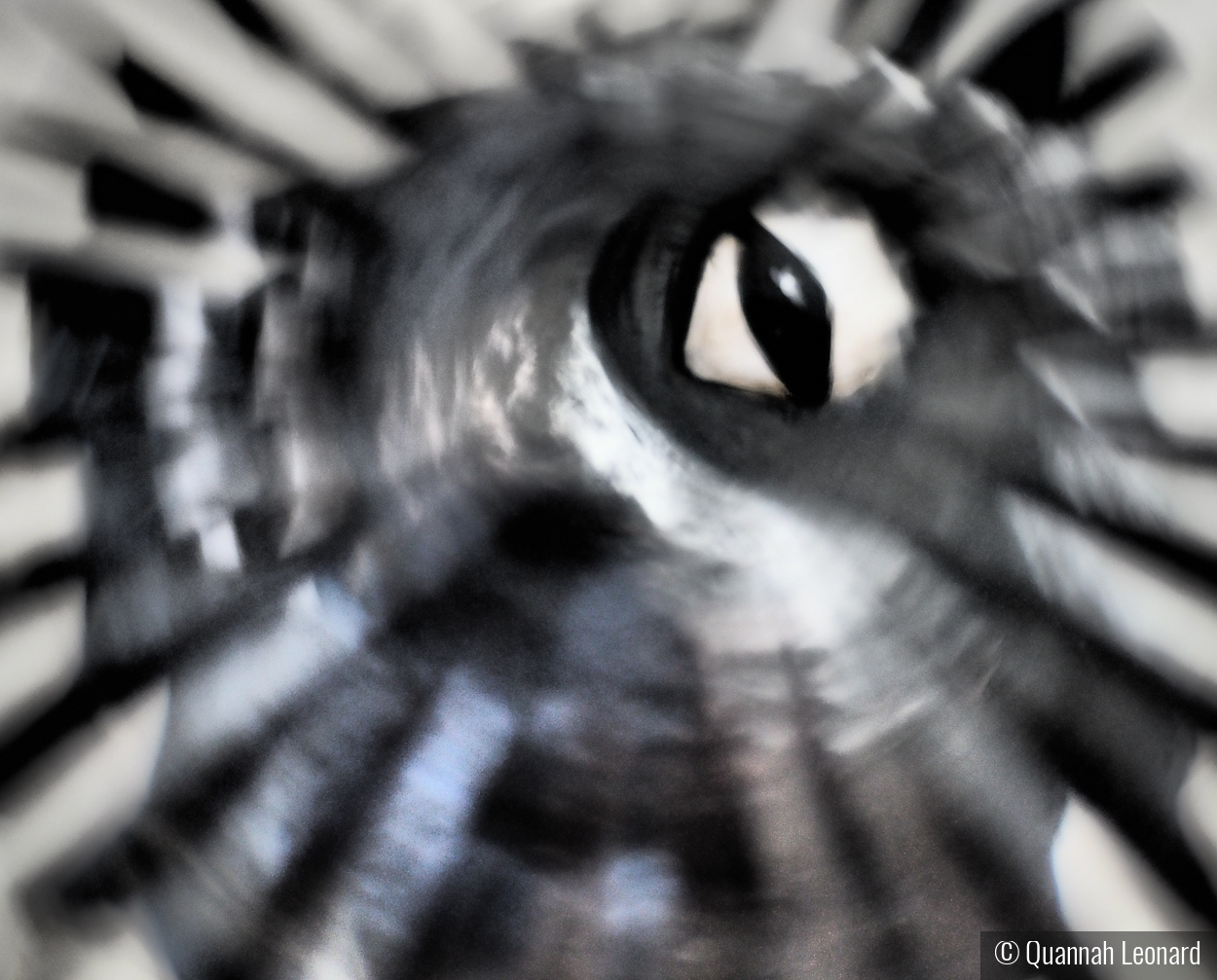 The Crystal Seer by Quannah Leonard