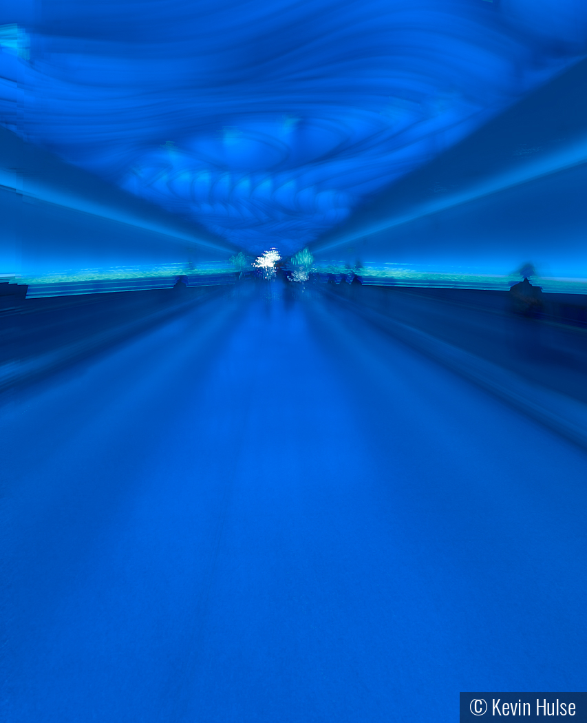 The Long Walk by Kevin Hulse