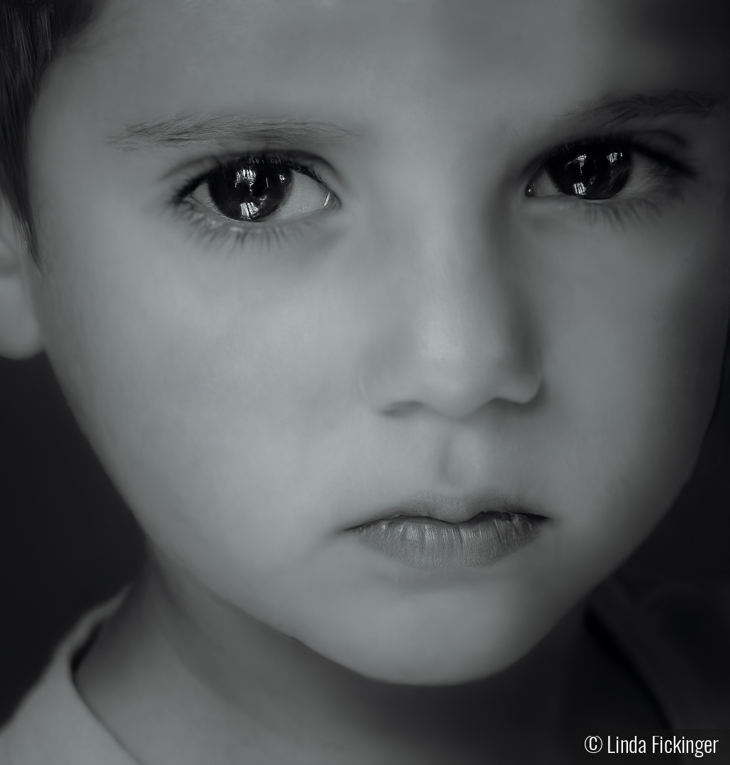 The Quiet Gaze by Linda Fickinger