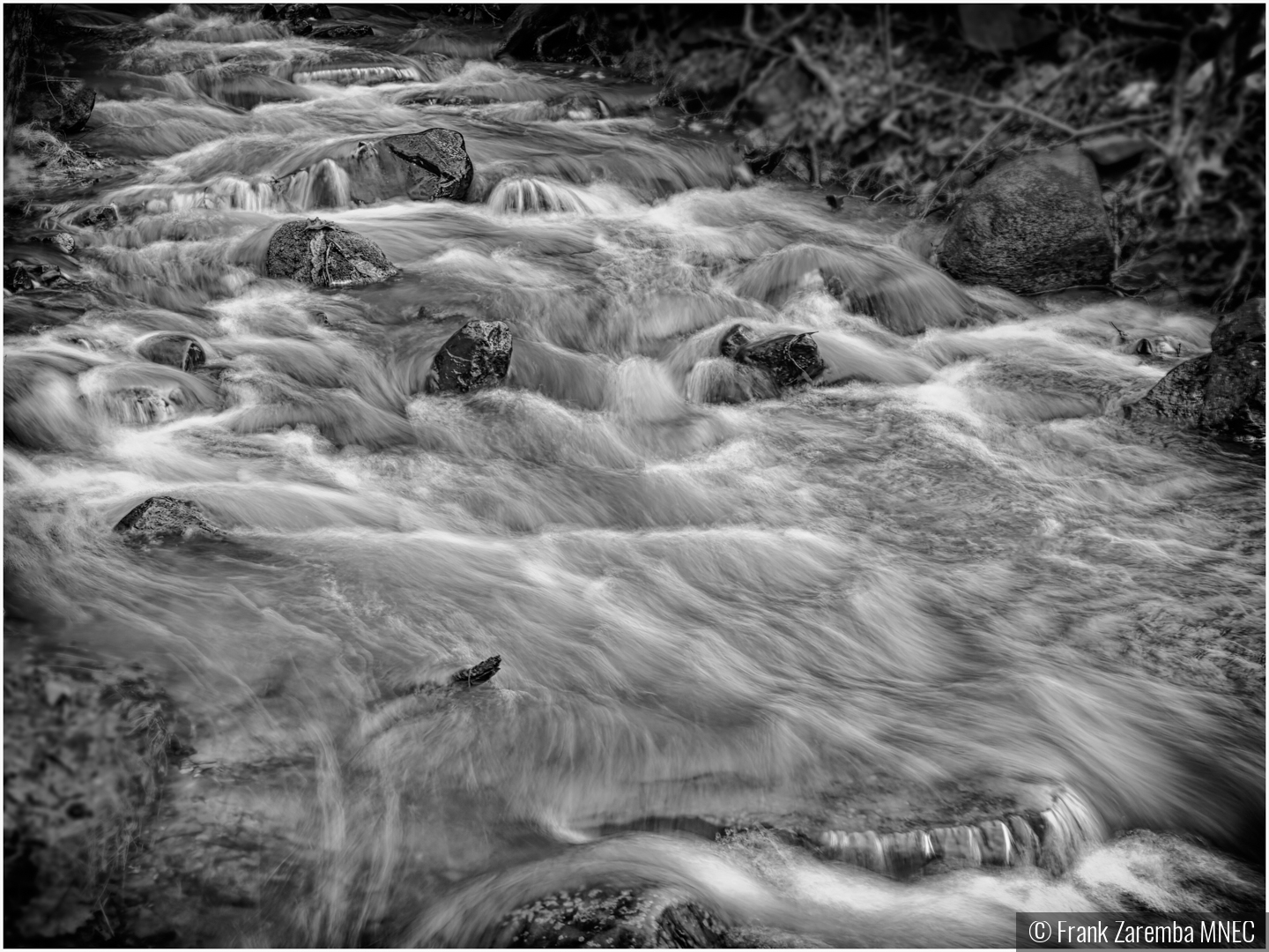 The Rapids by Frank Zaremba MNEC