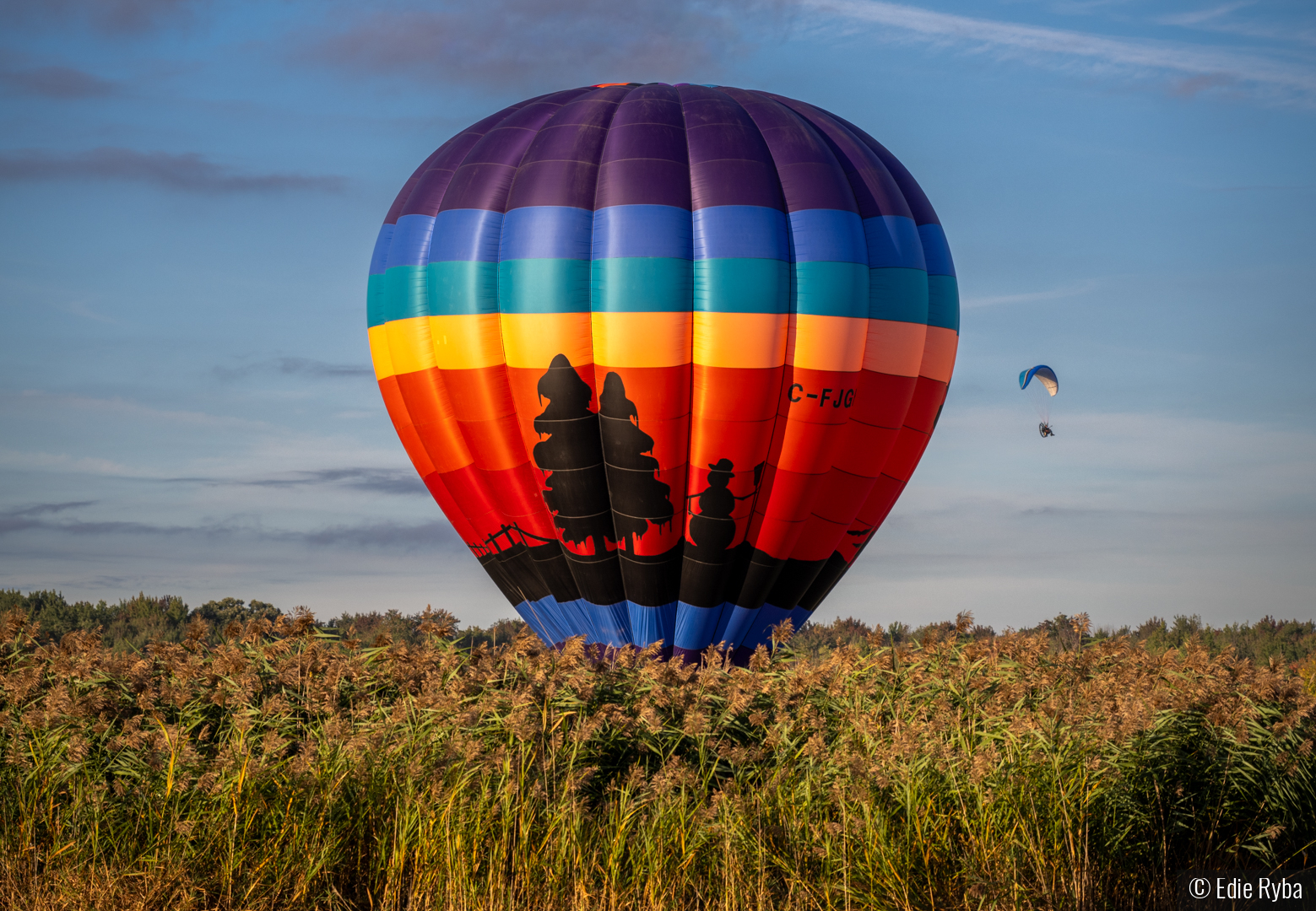 This Can't Be Good by Edie Ryba