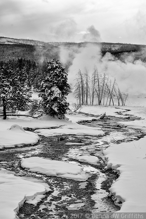 Three Phases of Water by Donna JW Griffiths