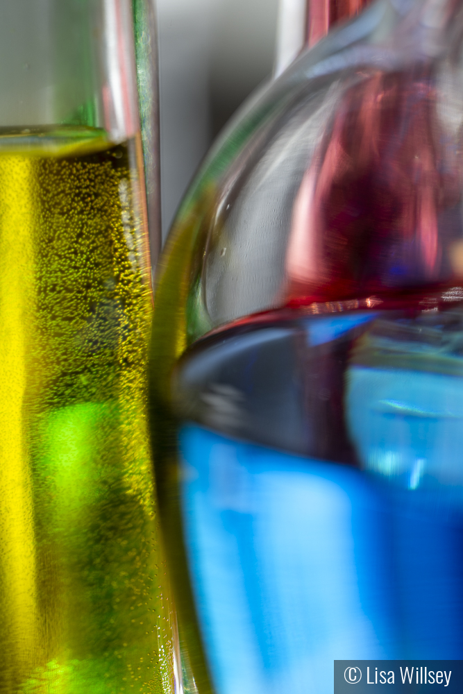 Through The Glass by Lisa Willsey