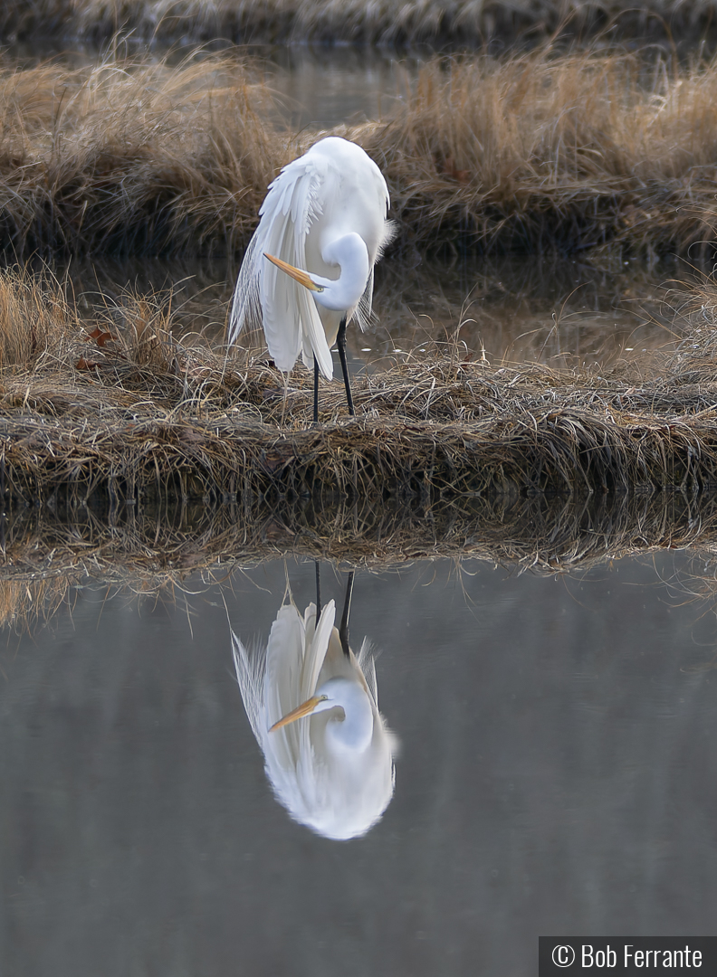Topsy-Turvy by Bob Ferrante