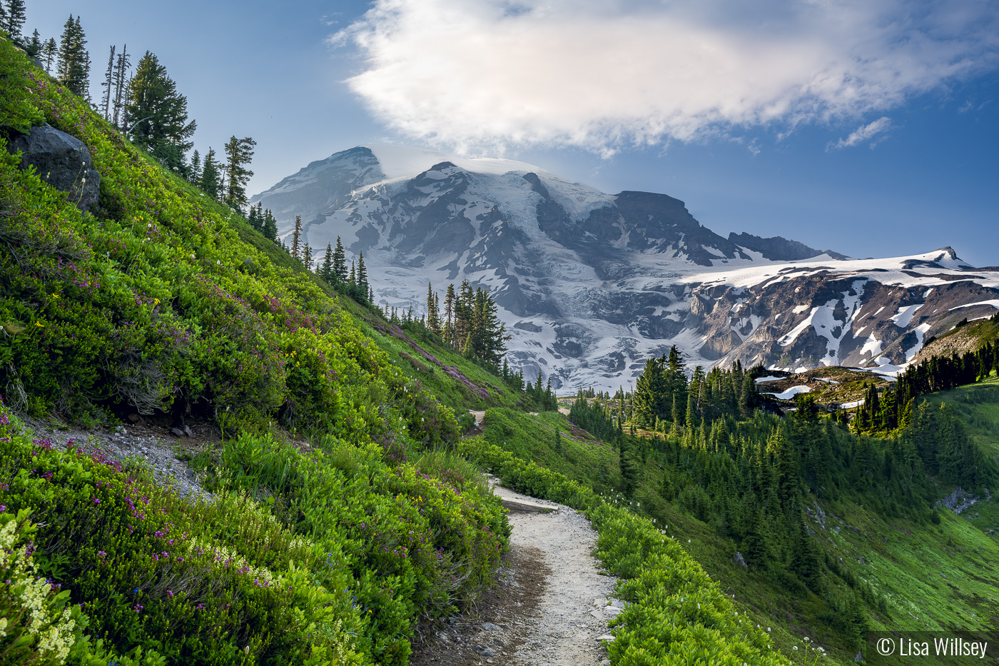 Trail to Paradise by Lisa Willsey