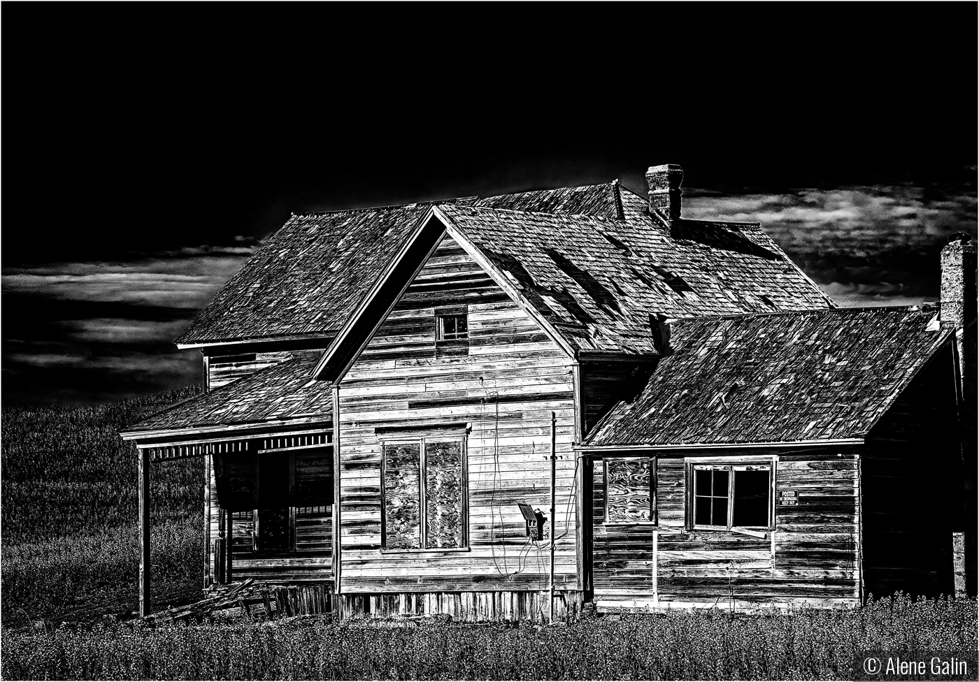 Trick or Treat by Alene Galin