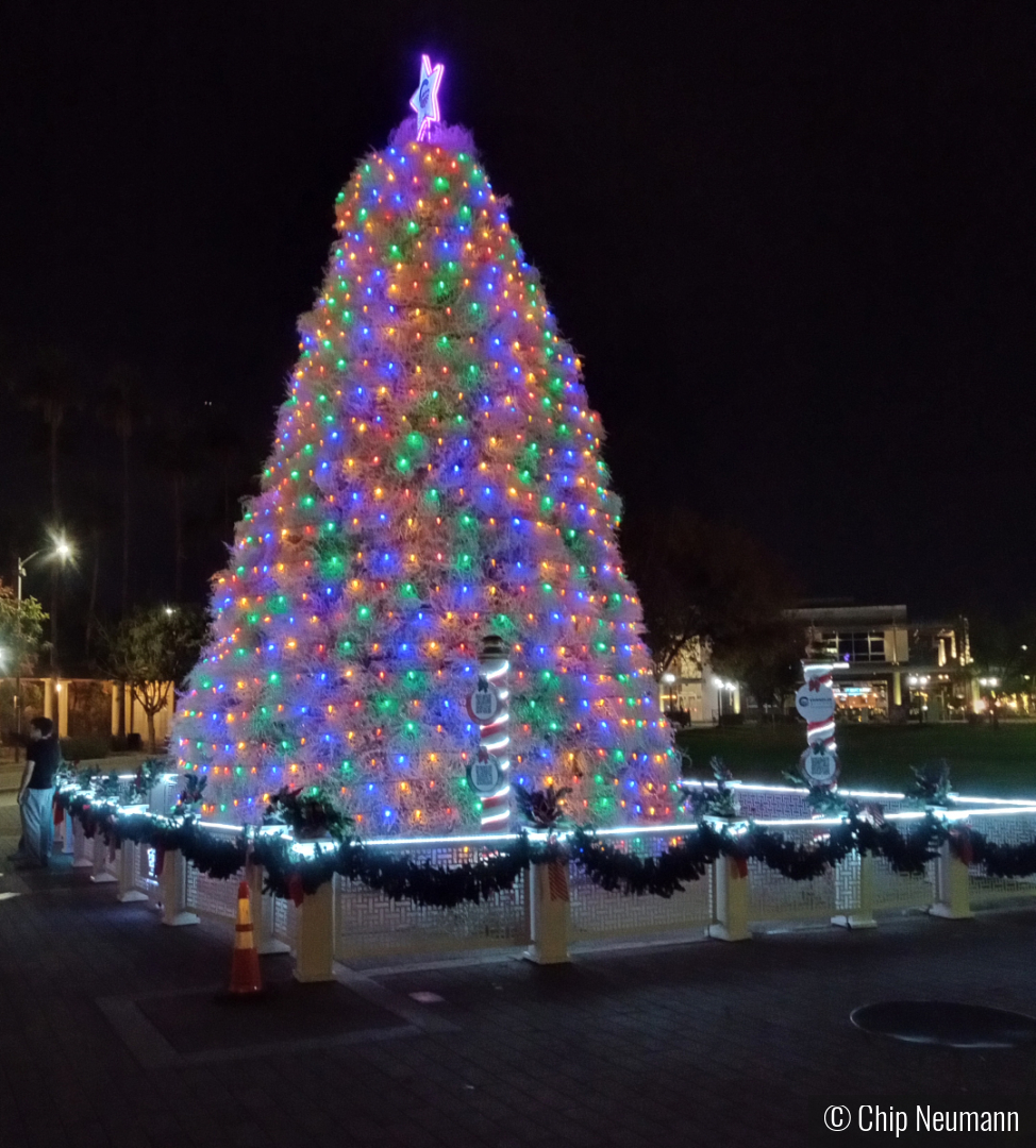 Tubleweed Christmas Tree by Chip Neumann