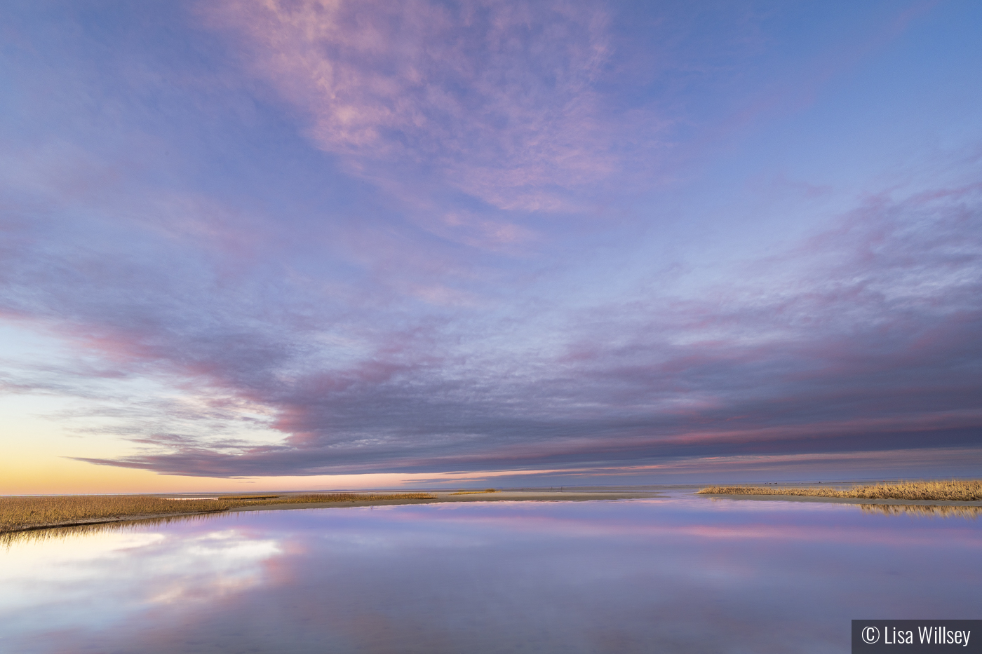 Twilight's Reflection by Lisa Willsey