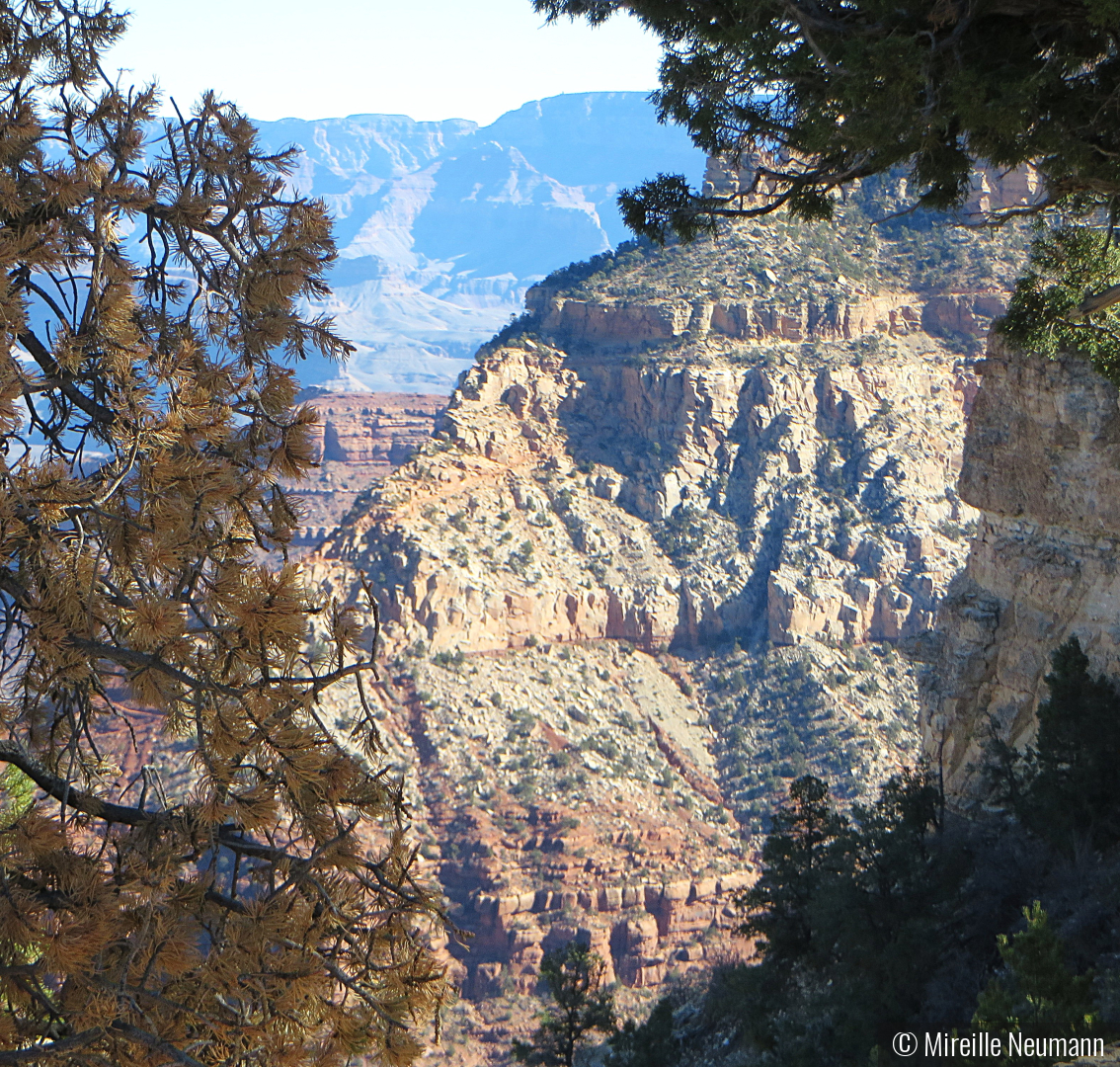 View of the Grand Canyon by Mireille Neumann