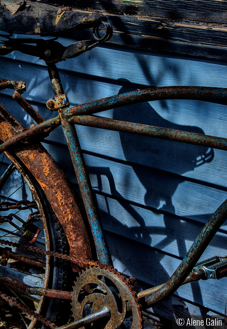 WEATHERED by Alene Galin