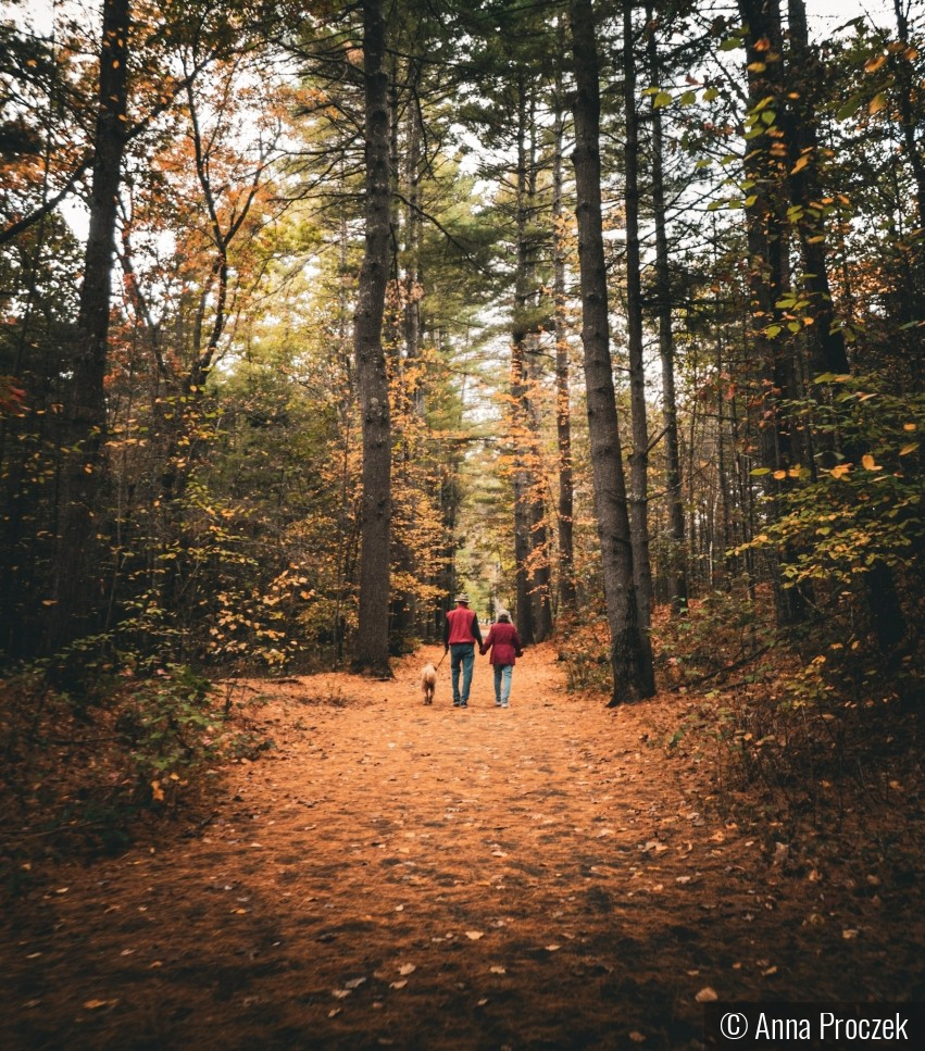 Walking the Same Way by Anna Proczek