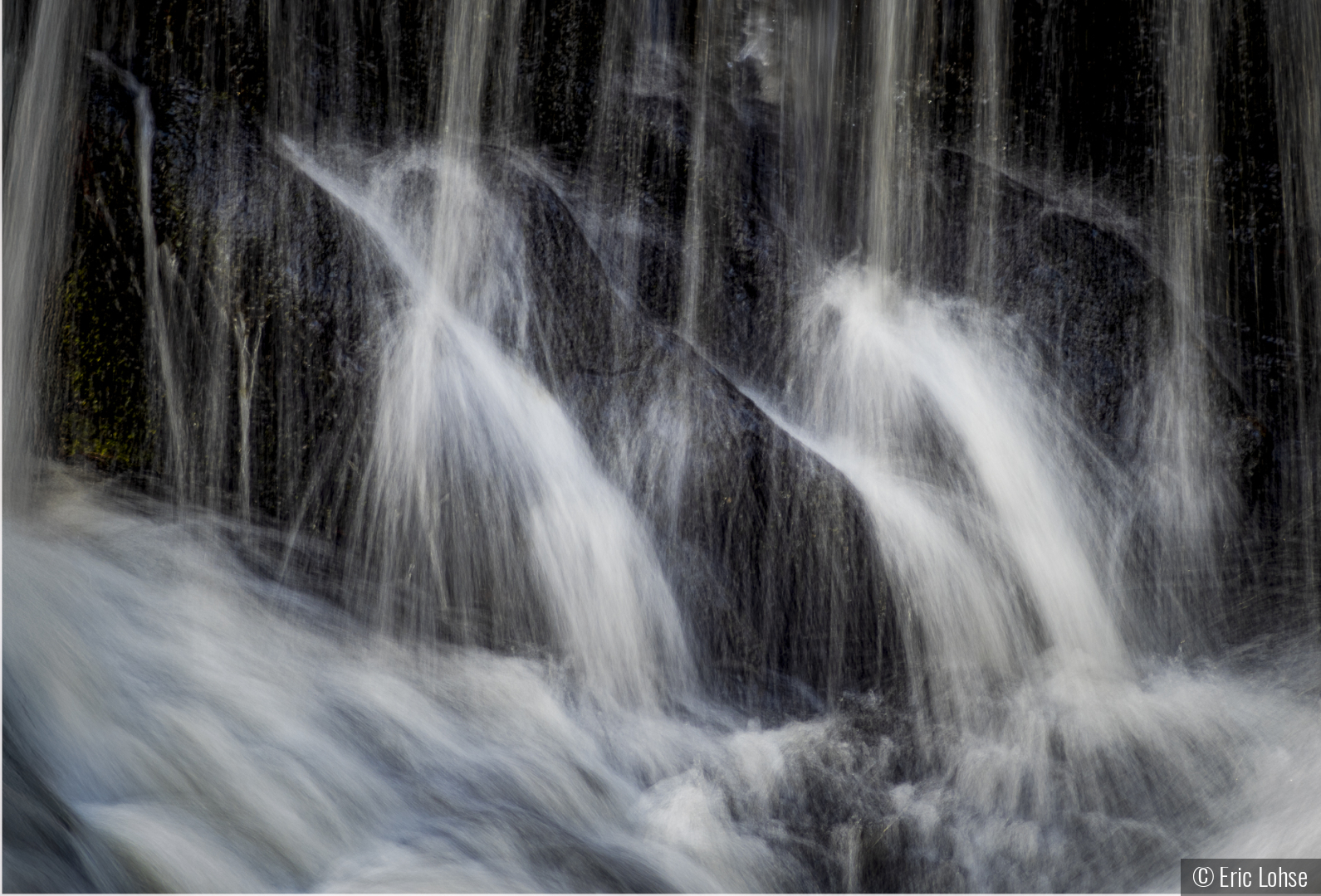 Water Birds by Eric Lohse