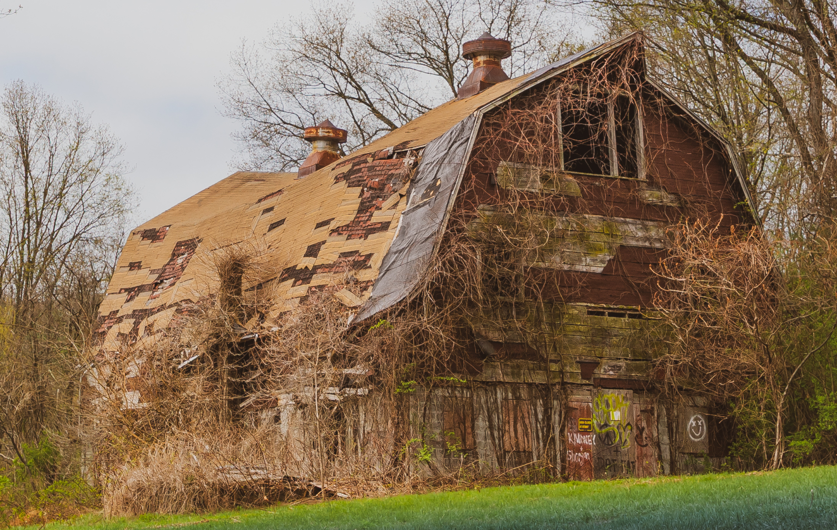 We've Seen Better Days by Pamela Carter