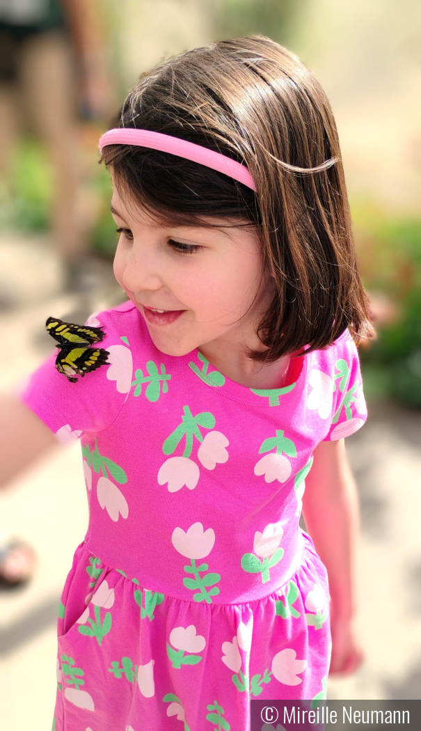 What a pretty butterfly! by Mireille Neumann