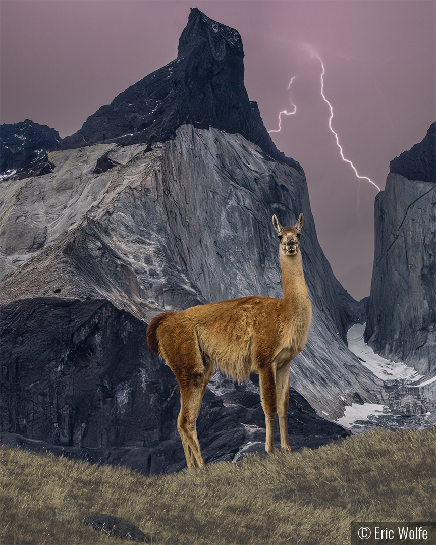 When Timing is Perfect by Eric Wolfe