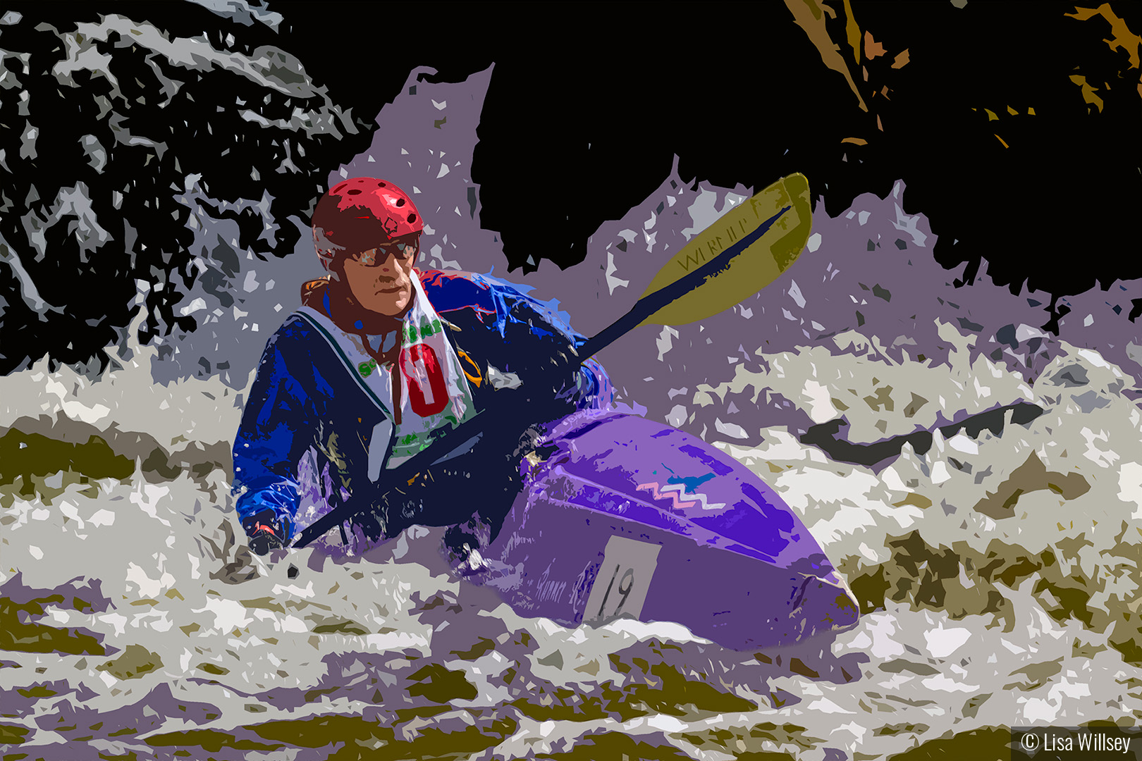Whitewater by Lisa Willsey