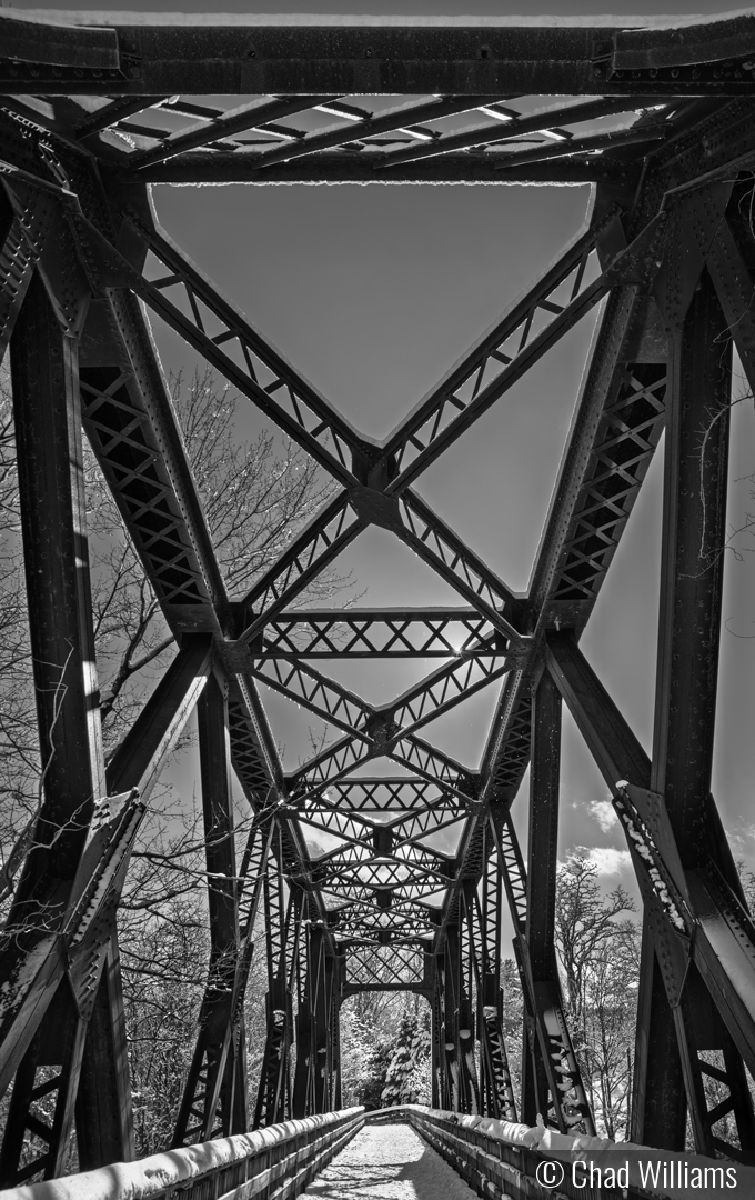 Wild Reaching Through Geometry by Chad Williams