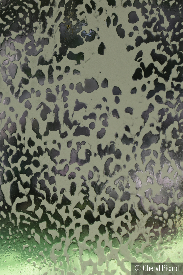 Window Washing by Cheryl Picard